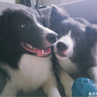 �S����ϵĿ��ֹ���