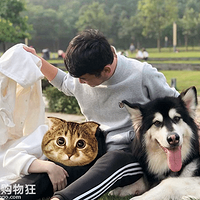 ������ר�á�������ֻ��ʹ��Ħ�����ȴ����ֻ��ͨ�ζ������İ���