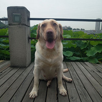 ��������ͣ���¼һ��