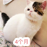 �����޸�л�������������