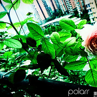 Ŭ�������ķ����������괺ů����ʱ���������˼�������ʱ