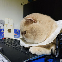˲ϵСҵڰ