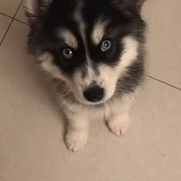 ��ʿ�档���������ζ��ٳ���