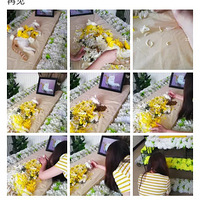 ľ�������Լ��ҵ�è����һ��׷���ᣬ������ô����