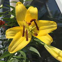 ����ٺϵĻ���Ҳ̫��ͬ���ˣ�����������ɫû�������쿪�˶���