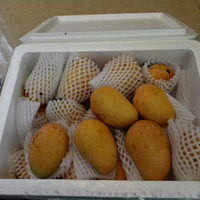 Ϲ���ڣ�����â��