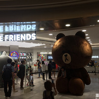 �ô��bear��in line friends
