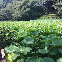 µķ磬µ꣬µ̫µġ