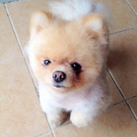 ��û����Ҫ�������������������� ������