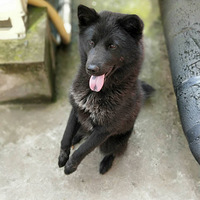 ��С�ڹ�Ѱ��һ������������