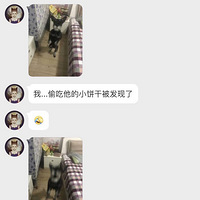 ��͵�Թ��ӵ�С���ɣ�����������֮�󡭡�