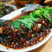 ��õ������ǣ� ʱ�⣬Ũ�����ˣ� ���ģ�Զ���ల�� ?