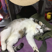 ����˵��Ҫ��������һ�°ɣ�