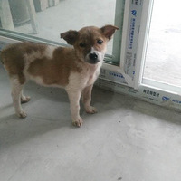 ���ȳ��������˺ֽ����������ү�����ǲ��������С���