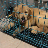 лл���Ҽ�������ֻ�����ǲ����������࣬Ʒ����ô��