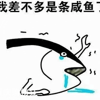 �ٵȣ��ɱ��ڣ���������Դ�ռ��Ź���6��23��ʢ����