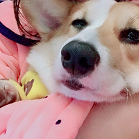 һλ�ٽŴ󺺵��ճ�