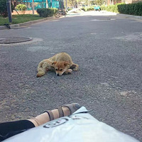 ���ȳ������������ô����������ǿ���~