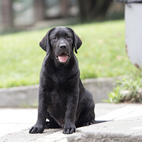 �˿�(�������ࣩ��������