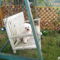 ���ܵܵ� ������ ������ ��������