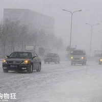 �������繷��Ϊʲô��Ҫ�����򳵣������ǻش������