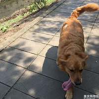 ���S��l�c