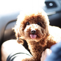 ?1?6  С��Ů̩���������� ��Ѱ�������� ��