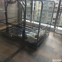 ����֪����ʿ��Ϊʲô�ж����ˣ������������Ƿŵ������������