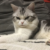 ���̼Ӱ���˾�ܵ���ϱ������