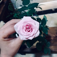 ���������û�������ݵ�ҵ��ѡ��