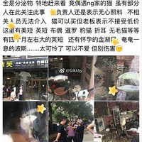 è�����գ�30��ֻè�����˿�20�죬���е�è���ݵ�Ƥ����ͷ