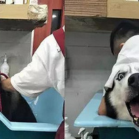 ����������ë����������ˣ����ҾͿ�ʼ�����������