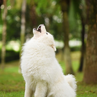 ϲ�������������ȣ�ˣ���˿�