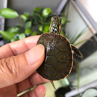 ��������ڹ����ô�ٶ�