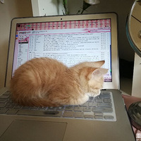 ������è