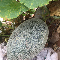 ���ռ���