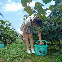 �Լ������Ѿ�