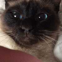 ��������һ���ˣ���Ҫһ��������