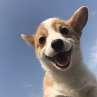 �������󵽣�һ��������������ҵ�����~~