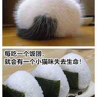 û����������û��ɱ��