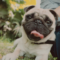 ÿ�δ����ӳ��ţ�·��������Ҫ˵��ɳƤ����