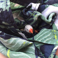 ���������ϸ��Ϳյ�������ͳ���һֻ�������Ұ�������˼ҡ�