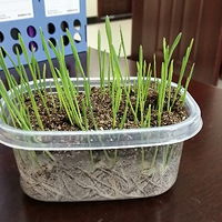 һֻ����è����Ϯ֮·