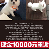 Ѱ���󶵵ĵ�6�죬���Ҷ�ת������ס��