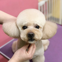 �Ҽ�ֵ���ã�Ҳ�����ҵ��£�����������9�ꡣ