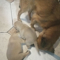 �������ǵĵ�����