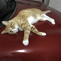 ��������и�Ů�����Ϲ����Ÿ���С�����Ź�Ȼ��Բ�ȡ���