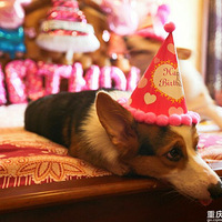 ������һ�������տ���