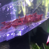 Ѱ����Ϻ�����ߣ�