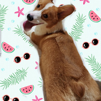 ������»���ŮƱ��